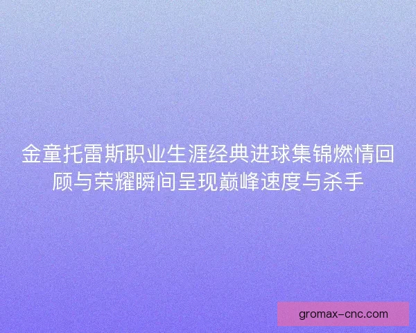 金童托雷斯职业生涯经典进球集锦燃情回顾与荣耀瞬间呈现巅峰速度与杀手