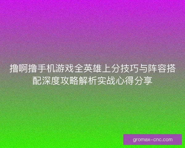 撸啊撸手机游戏全英雄上分技巧与阵容搭配深度攻略解析实战心得分享