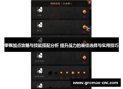 拳猴加点攻略与技能搭配分析 提升战力的最佳选择与实用技巧